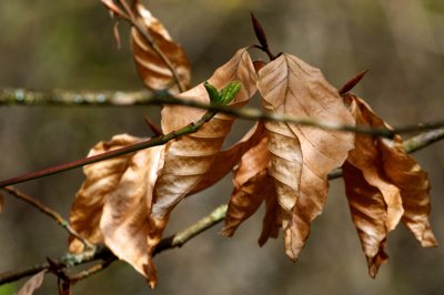 Vieux et jeune_4528532221_l.jpg